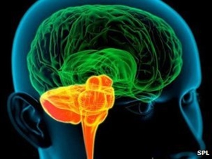 Being bilingual 'boosts brain power'